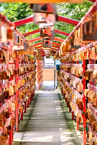 願いが連なる木道