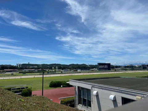 夏空広がる競馬場の午後