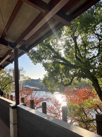 水面と木漏れ日の秋景色