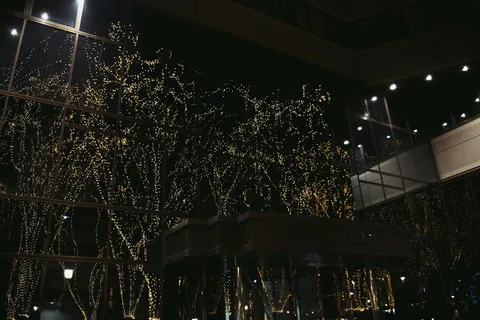 壁一面のきらめきツリー