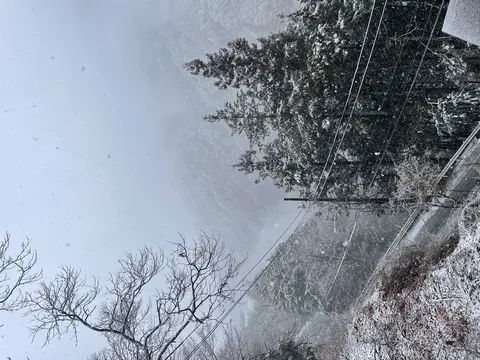 雪と霧の白黒世界、電線もアートの一部？