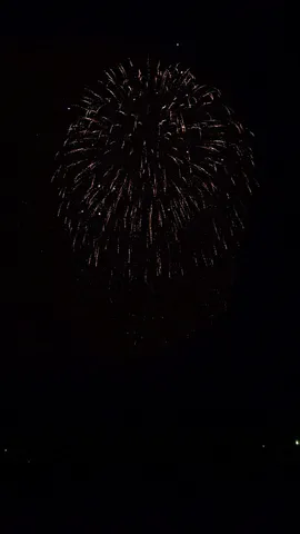 夜空に咲いた一瞬の光の花