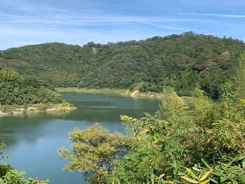 静かな湖畔の森景色