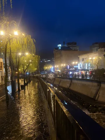 夜の柳と光の川