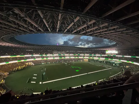 スタジアムの夜空と緑の絨毯