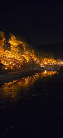 灯と水の夜の彩り