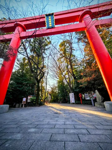 光差す参道、朱の鳥居