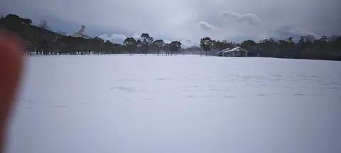 雪景色に佇む建物と木々