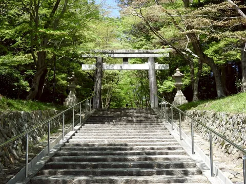 緑に包まれた石段と鳥居