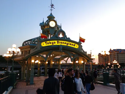 東京ディズニーリゾートの夜景