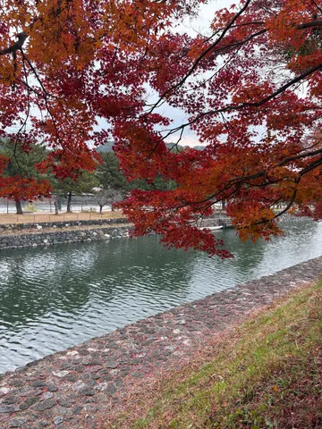 紅葉の川辺、秋の静寂