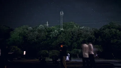 星空と緑のコントラスト