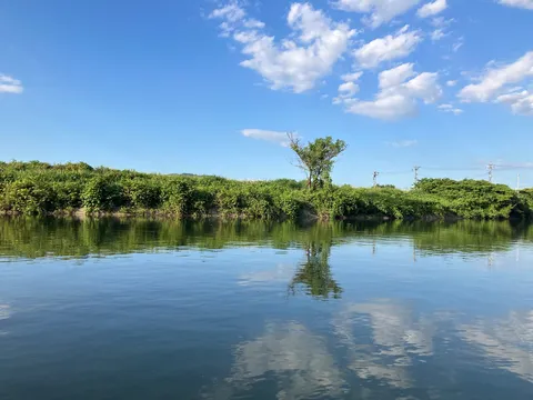 水面に揺れる静かな風景