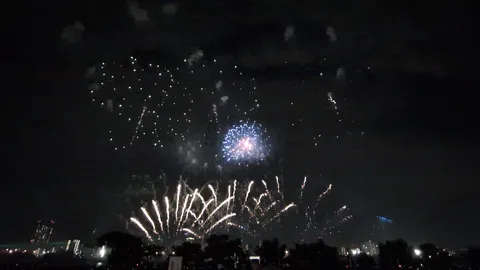 夜空を彩る花火の饗宴