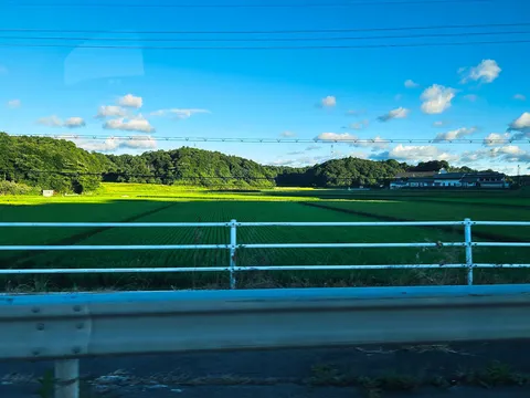 電車から見た、緑と空のコントラスト