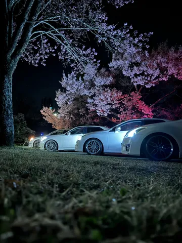 桜明かりの車列