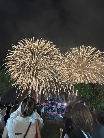 夜空に咲く大輪の花