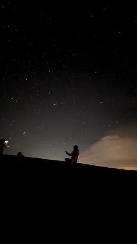 星降る夜空と星空を見上げる人