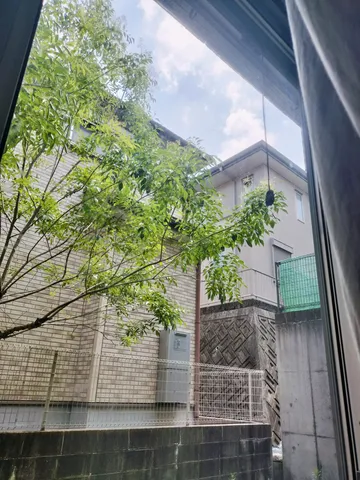 緑と空、建築のコントラスト