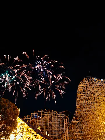 夜空に咲く木枠の華