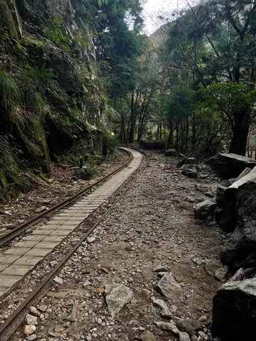 緑深き森へと誘う線路