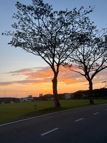 夕暮れの木陰の瞬間