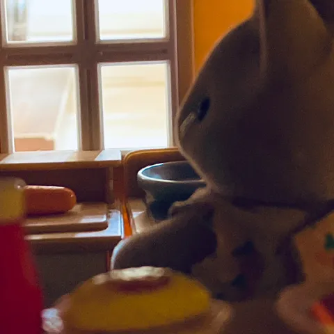 シルバニアファミリーを撮りましたわ