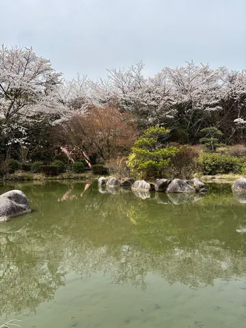 水面に映る、春の静けさ