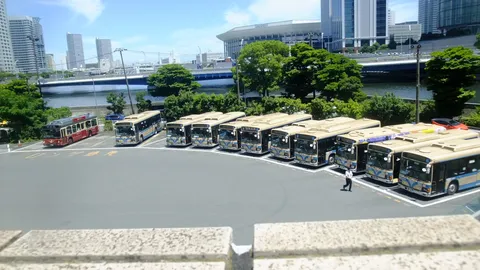 バスが並ぶ都会の日常風景