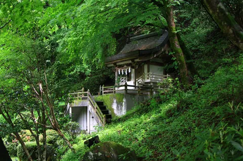 緑深き、静寂の社