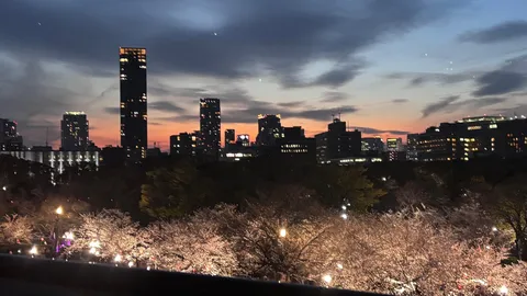 空と街と桜の共演