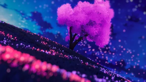 魔法にかけられた夜の庭
