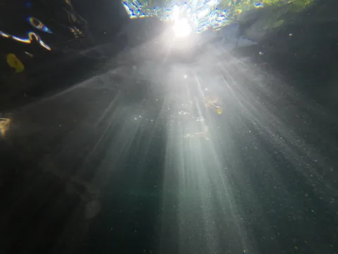 水底に差し込む光の道