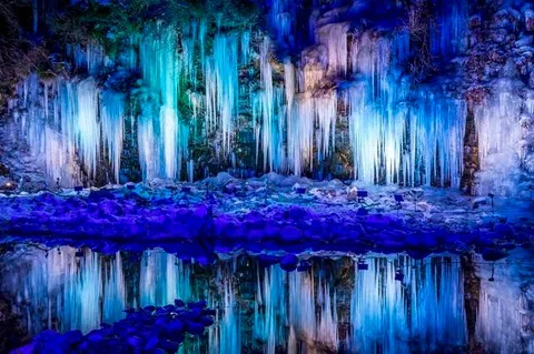 氷の森が映す夜景