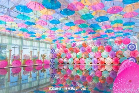 カラフル傘の万華鏡