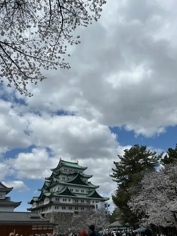 満開の桜と古城、空のキャンバス
