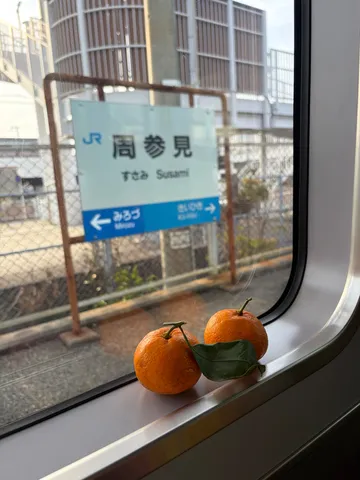旅路に灯る、みかん色の温もり