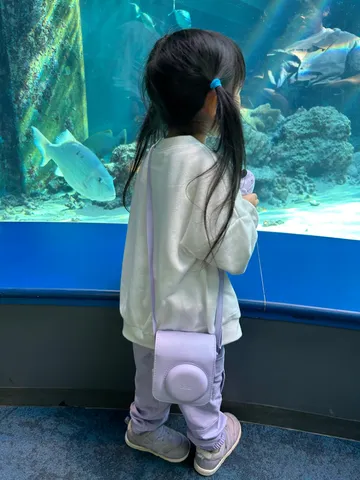 海の窓の前の静寂