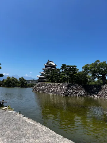 城と緑のコントラスト