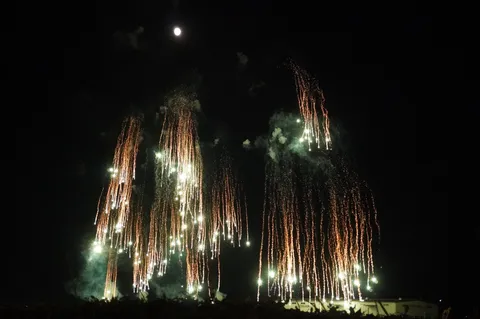 夜空に降り注ぐ花火の閃光