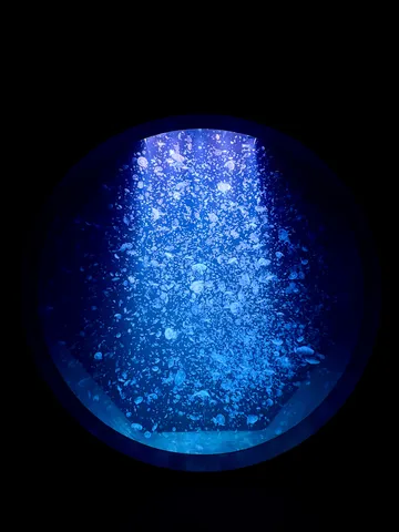 幻想的なクラゲが舞う深海世界