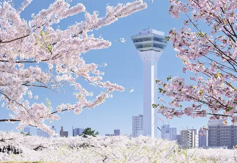 桜咲き誇る白亜の塔