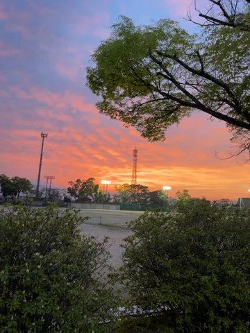 夕焼けに照らされるグラウンド