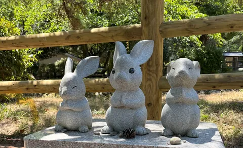 縁側の庭園に佇む三匹の石うさぎ