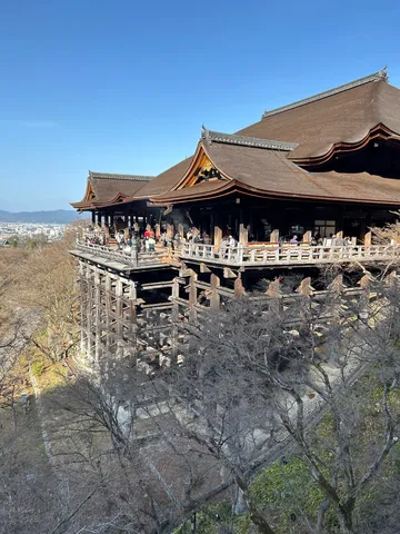 木造建築の壮大さと自然の調和