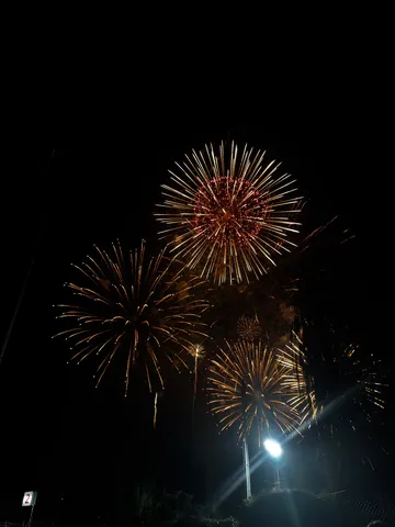 夜空を彩る、光の花火たち