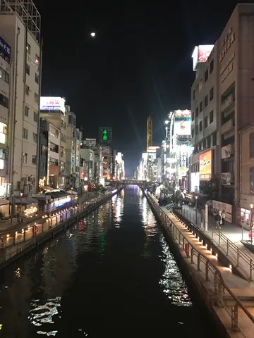 都会の夜景と水面の光のシンフォニー
