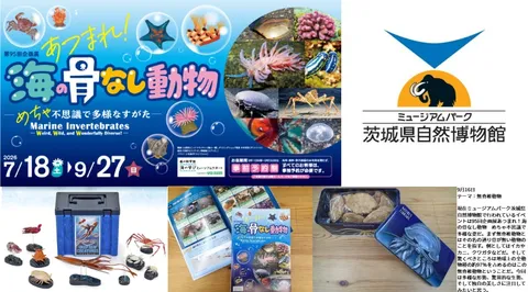 海の骨なし図鑑をめくる