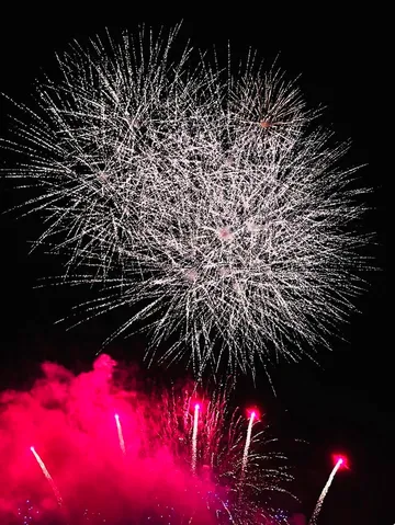 夜空に咲く光の花束