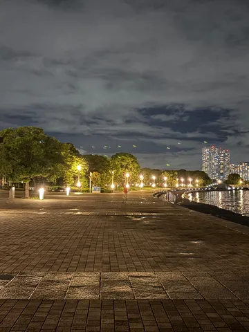夜風と灯りの港公園